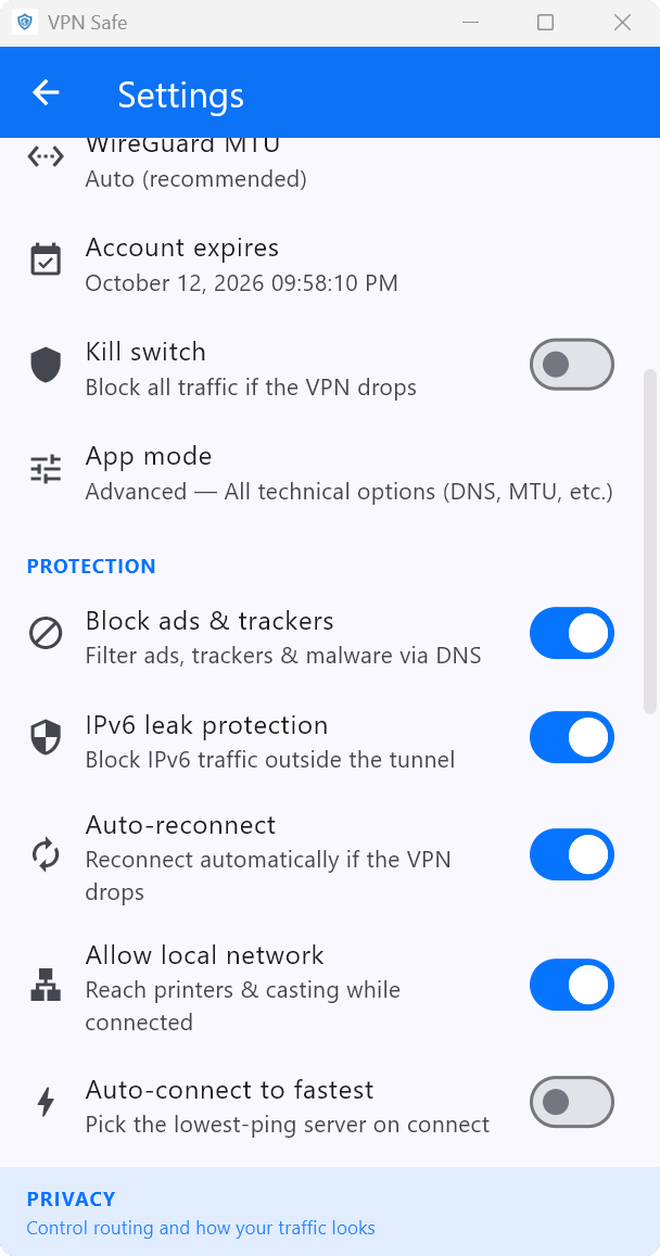 Windows Protection settings: ads and trackers, IPv6 leak protection, auto-reconnect, local network, auto-connect to fastest
